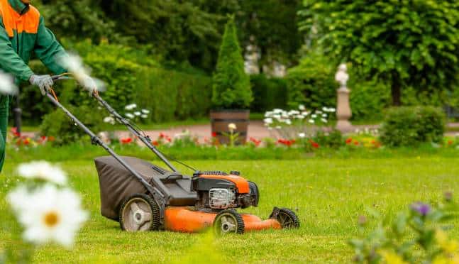 Aménagement jardin de maison par un paysagiste 