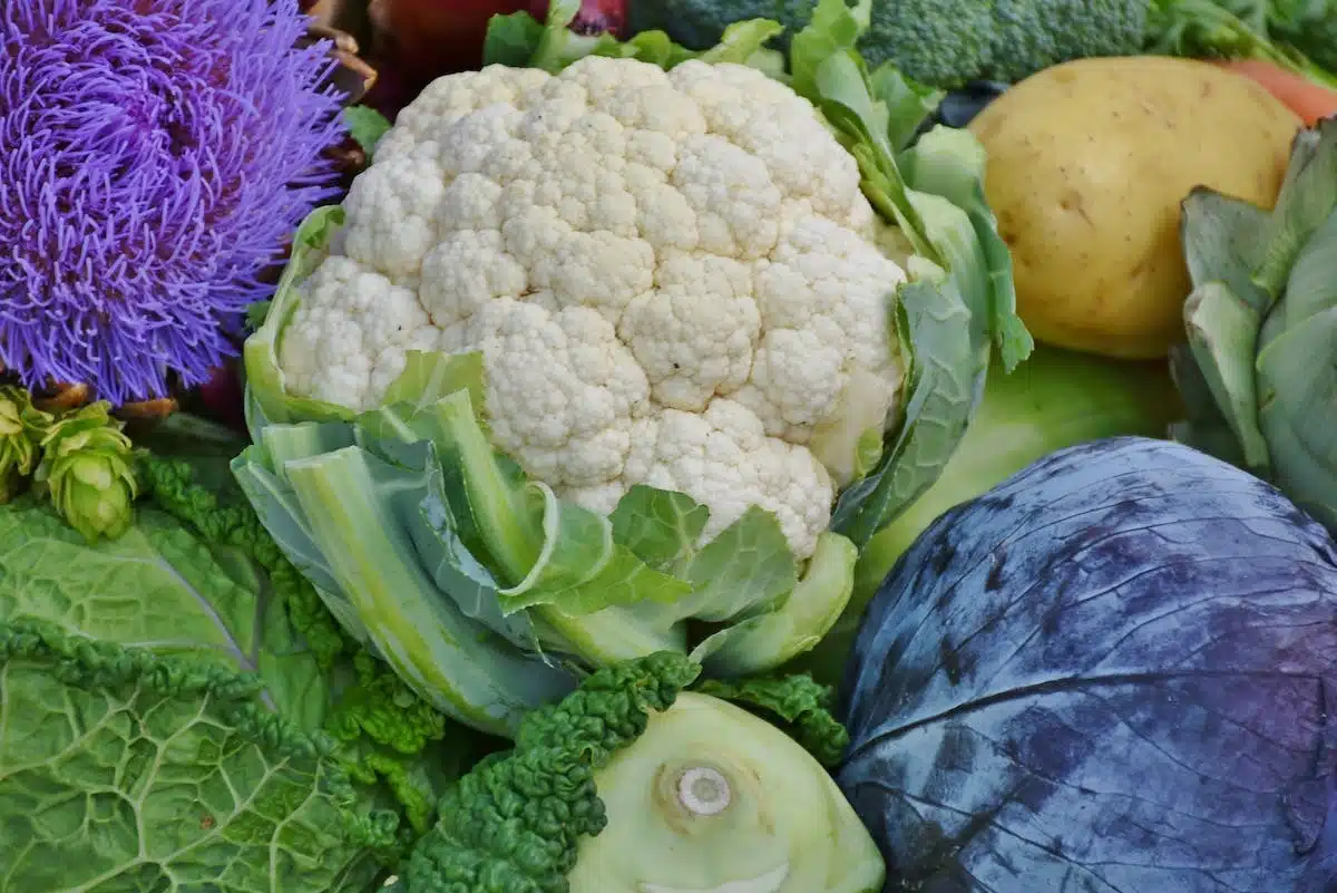 potager  astuces