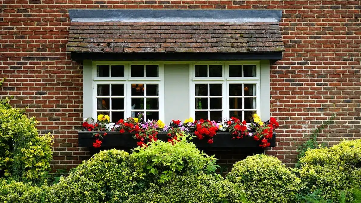 maison  jardin