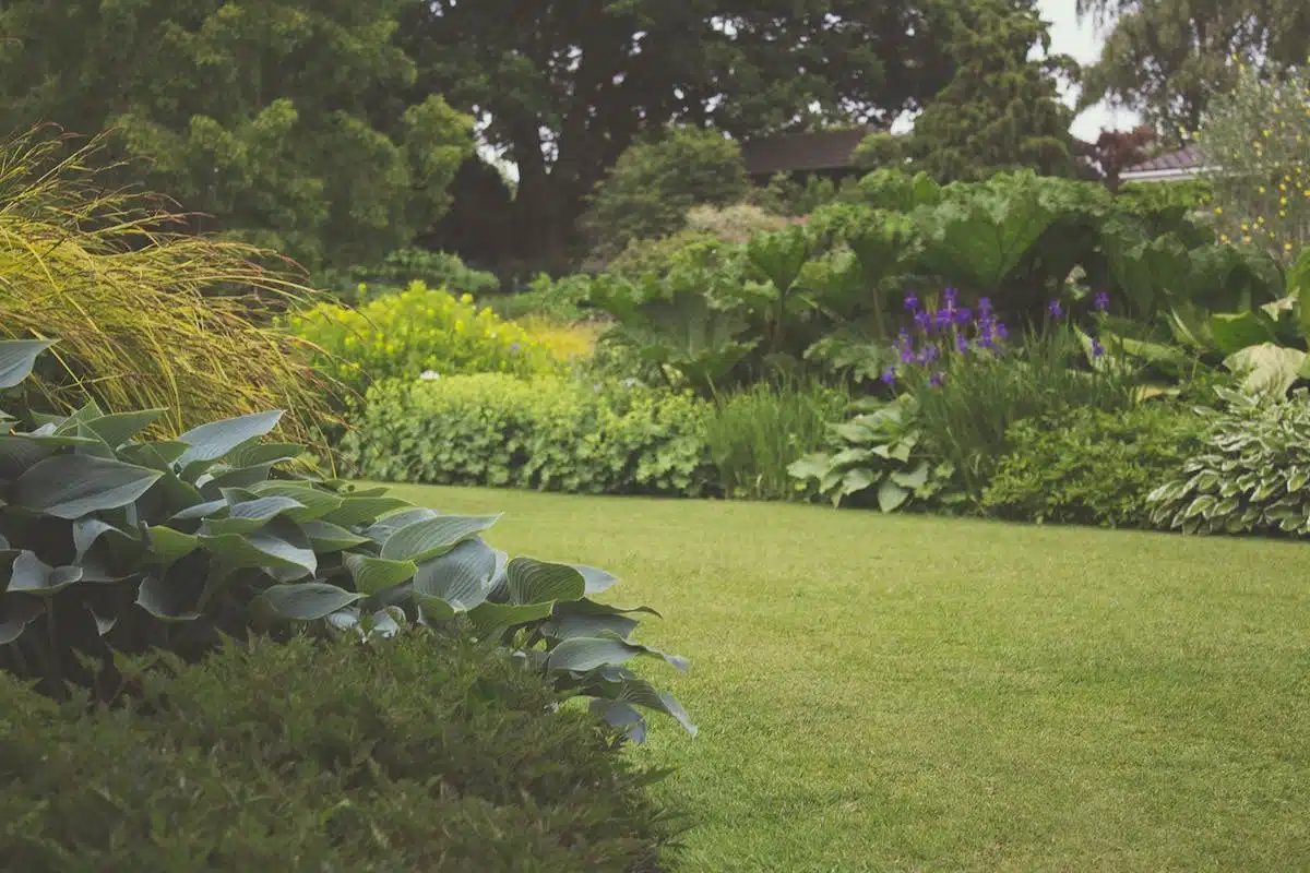 aménagement jardin