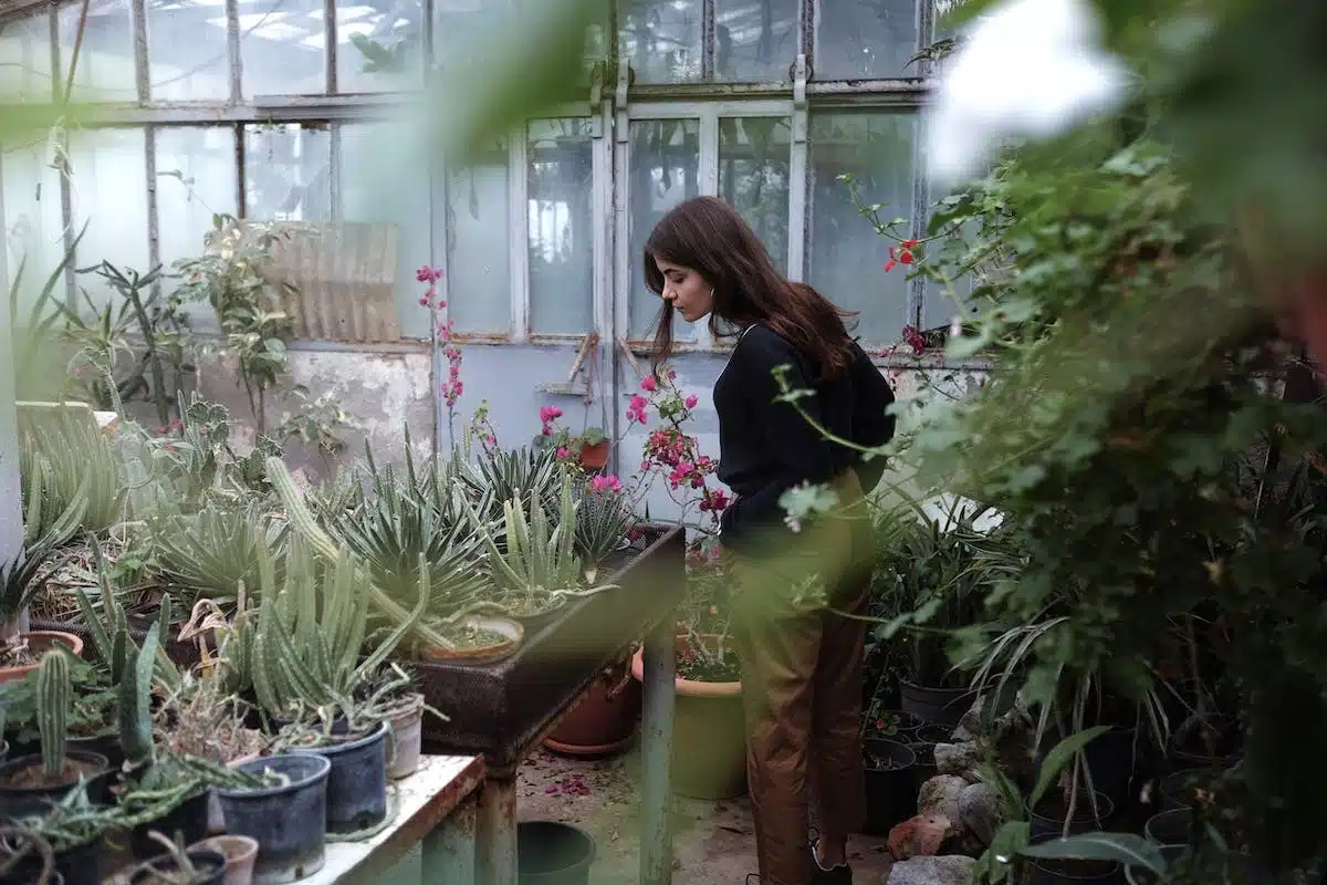 jardin détente