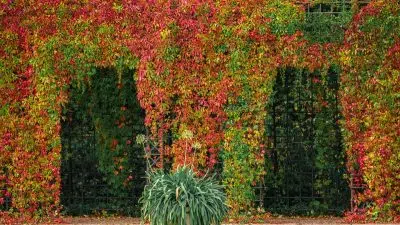 Pergolas en aluminium pour votre jardin : quelques avantages