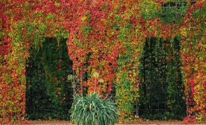 Pergolas en aluminium pour votre jardin : quelques avantages